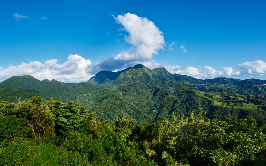 8 aventures à vivre en famille au Péyi Nord Martinique 