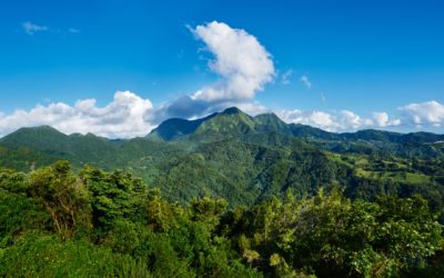 8 aventures à vivre en famille au Péyi Nord Martinique 