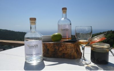Histoires de Rhum