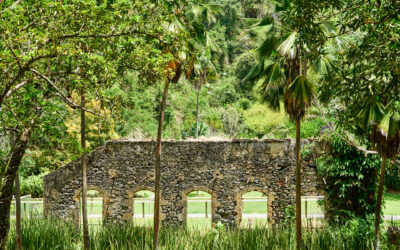 Une échappée au cœur du Nord 
