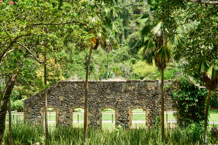 Une échappée au cœur du Nord 