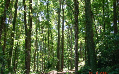 Reculée, l’escapade inattendue 