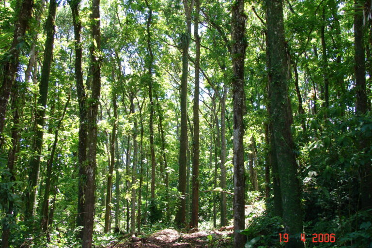 Reculée, l’escapade inattendue 