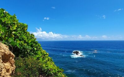 Quatre randonnées pour saisir l’âme du Nord 