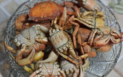 Matoutou, le goût de Pâques 