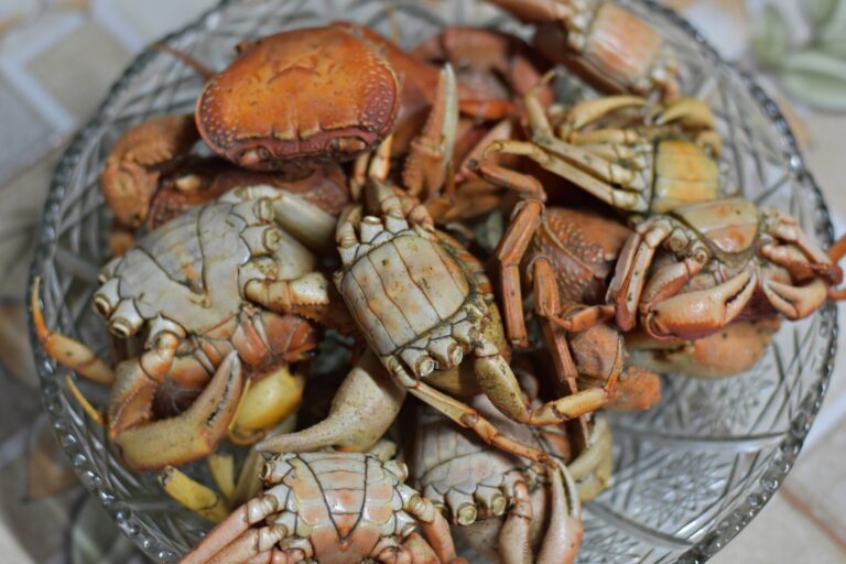 Matoutou, le goût de Pâques 