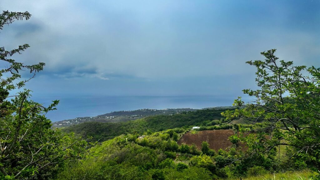 Quartier Verrier - Bellefontaine Martinique