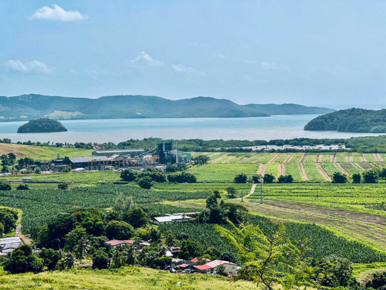 Le Galion, la dernière usine sucrière de Martinique